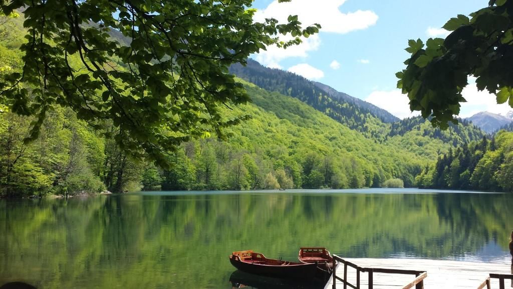 Лоджи Lodge House Tara Колашин