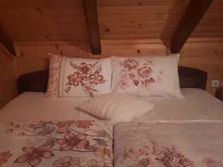 Лоджи Lodge House Tara Колашин Шале с 3 спальнями-23