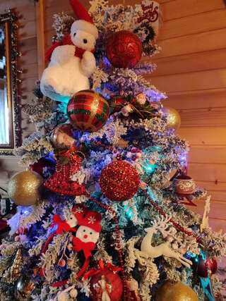 Лоджи Lodge House Tara Колашин Шале с 3 спальнями-48