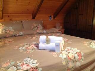 Лоджи Lodge House Tara Колашин Шале с 3 спальнями-66