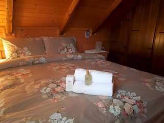 Лоджи Lodge House Tara Колашин Шале с 3 спальнями-79