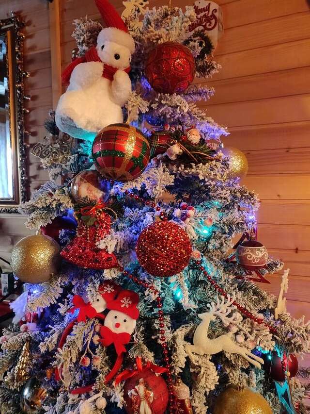 Лоджи Lodge House Tara Колашин-8